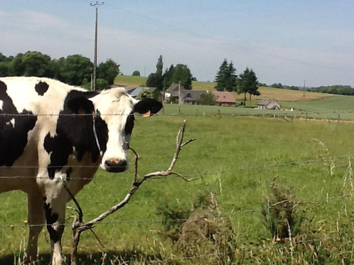Maison De Campagne Avec Spa, Proche De Vergers Et Cite Medievale, Animaux Acceptes, Recharge Electrique - Fr-1-497-101 L'Epinay-le-Comte Exteriör bild